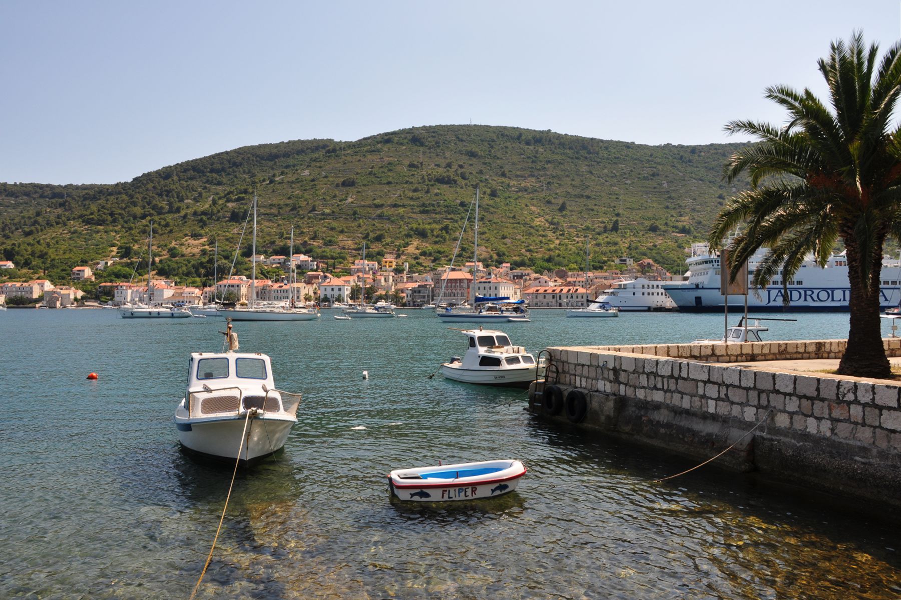 Vis
